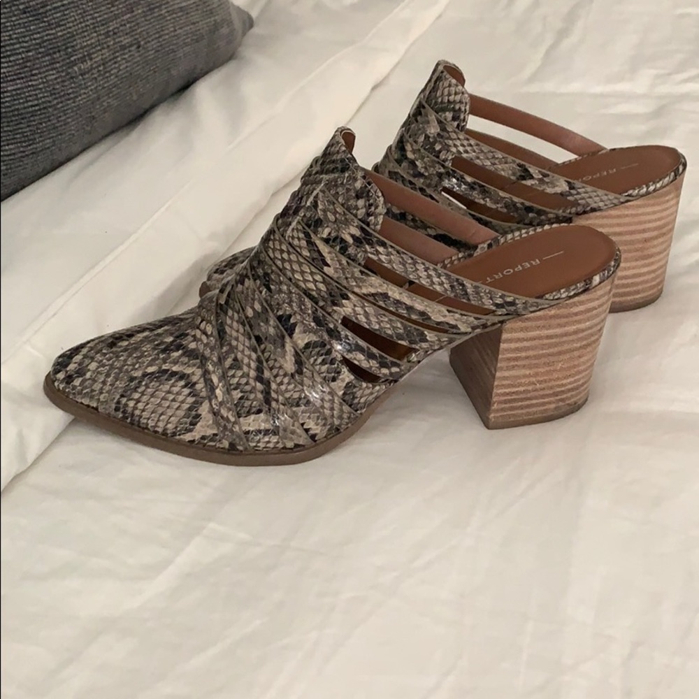 Report snakeskin slides!